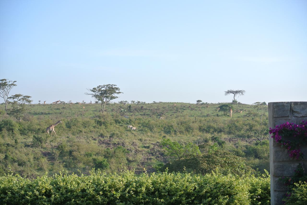 Nyati Hill Cottages Nairobi Extérieur photo